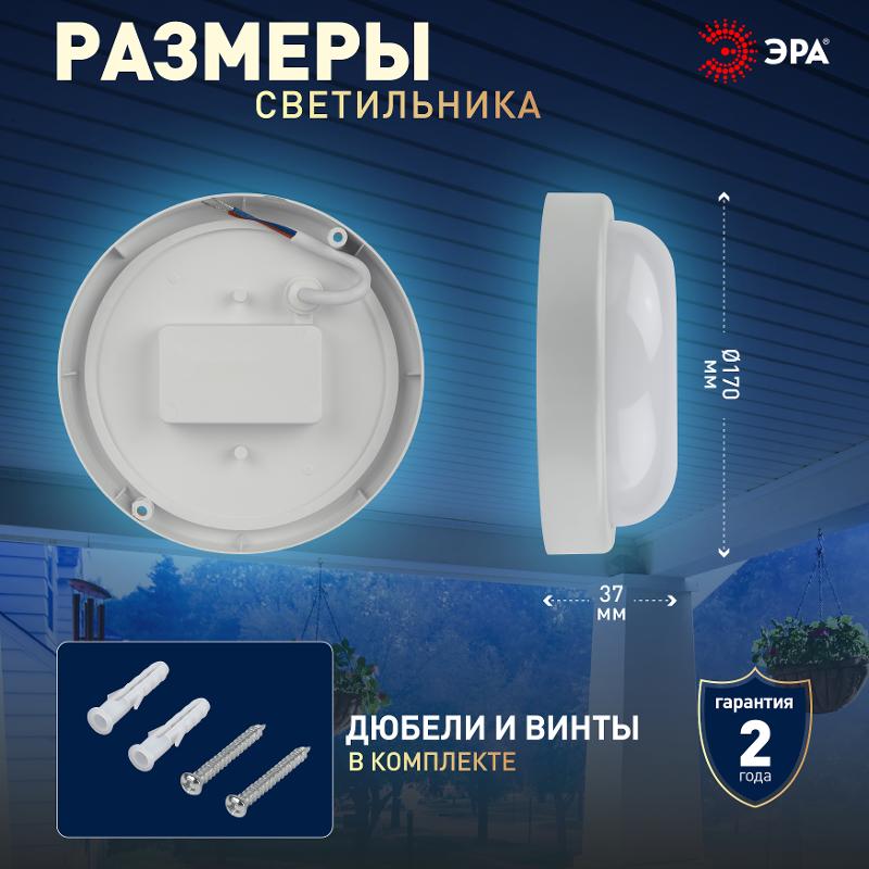 Светильник светодиодный пылевлагозащищенный для ЖКХ SPB-201-0-65К-015 IP65 15Вт 6500К КРУГ | Б0047624 | ЭРА