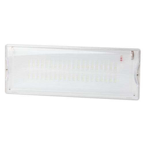 Светильник светодиодный DPA-301-0-65 IP65 40LED 3ч аварийный непостоянный Проектный Эра Б0044405
