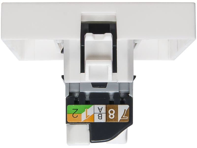 Розетка информационная UTP 1хRJ45 45х45 cat5е | 200007 | SPL