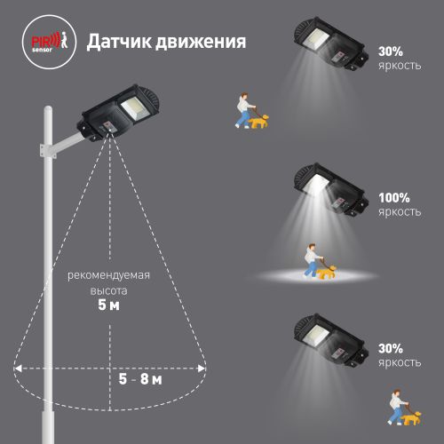 Светильник 20Вт 5000К IP65 400лм консольный на солнечной батарее SMD с датчиком движения ПДУ Эра Б0046797