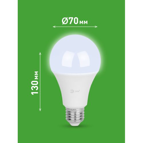 Лампа светодиодная GREEN LINE A65-30W-865-E27 GL 30Вт груша 6500К свет холод. E27 Эра Б0067145