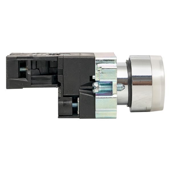 Кнопка BA21 с подсветкой 24В бел. NO PROxima EKF xb2-bw21-24