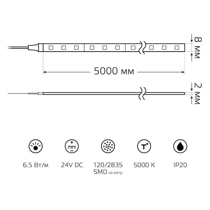 Лента светодиодная Black 2835/120-SMD 6.5Вт/м 5000К холод. бел. IP20 600лм/м 24В (блист.5м) GAUSS 312000265