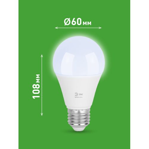 Лампа светодиодная GREEN LINE A60-20W-865-E27 GL 20Вт груша 6500К свет холод. E27 Эра Б0067102