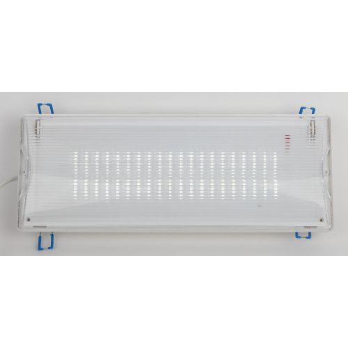Светильник светодиодный DPA-301-0-65 IP65 40LED 3ч аварийный непостоянный Проектный Эра Б0044405