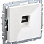 Розетка компьютерная СП RJ45 кат.6 BRITE РК11-БрБ механизм бел. IEK BR-K10-2-K01