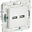 Розетка USB A+A 3.1А SKANDY SK-R15W арктич. бел. IEK SK-U21-D31-K01