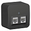 Розетка компьютерная 2-м ОП Blanca RJ45 кат.5E с изолир. пластиной антрацит SE BLNIA045456
