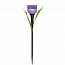 Светильник садовый USL-C-453/PT305 "Лиловый тюльпан" PURPLE TULIP IP44 солнечная батарея Uniel UL-00004278