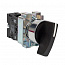 Переключатель BJ21 2P длинная рукоятка EKF xb2-bj21
