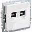 Розетка компьютерная двойн. СП RJ45 кат.5E BRITE РК10-2-БрБ механизм бел. IEK BR-K20-1-K01
