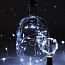 Гирлянда "Пробки" DC-G04-20WS2 20 LED 3х(LR44/LR1154/AG13/G13) в компл. бел. (уп.2шт) ФАZА 5059696